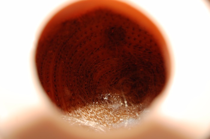 Перерождение куколки Arias (фото 6)