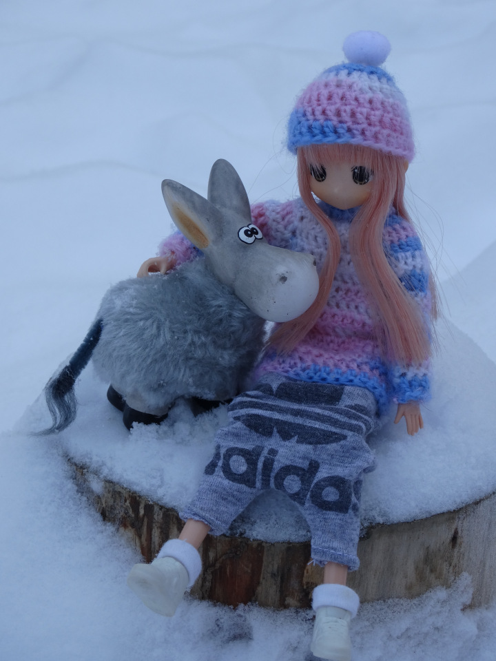 Банни и её ослик — Аниме куклы (MJD/Винил): Imomo (фото 5)