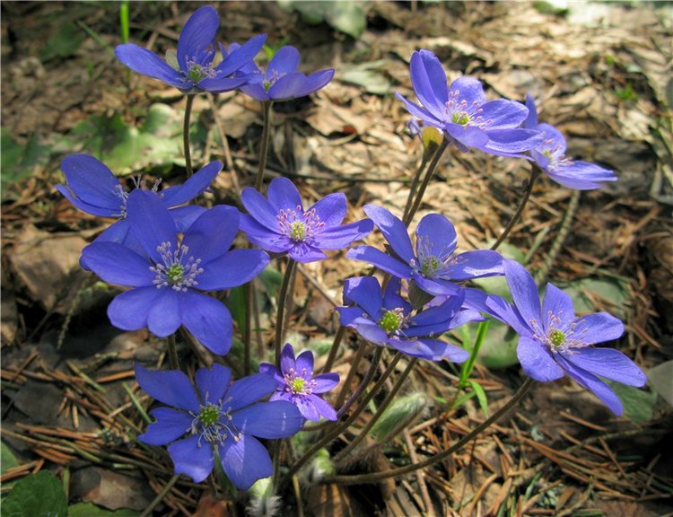 Весенняя прогулка в Старице (фото 3)