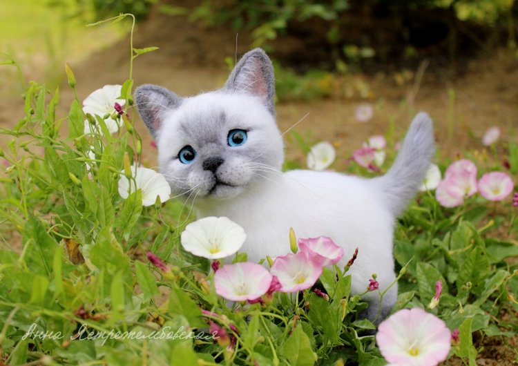 На прогулке — Валяные игрушки из шерсти: сухое валяние (фото 9)