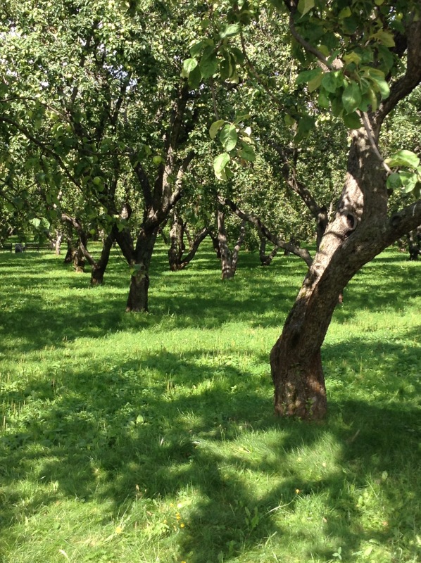 "Есть на Москве места такие..." ч.2. Тайны Коломенского оврага