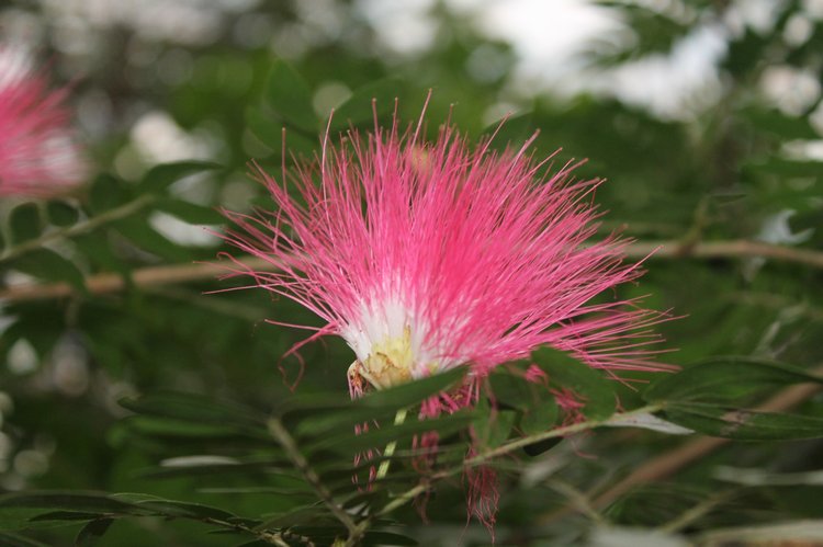 По Германии: зоопарк Лейпцига, часть 2