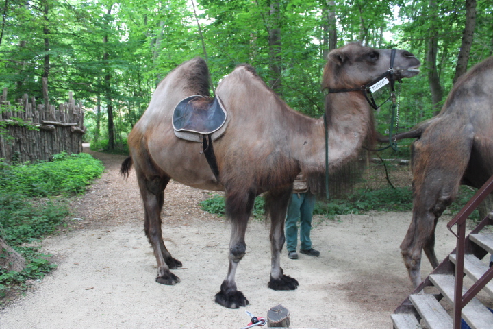 По Германии: зоопарк Лейпцига, часть 3