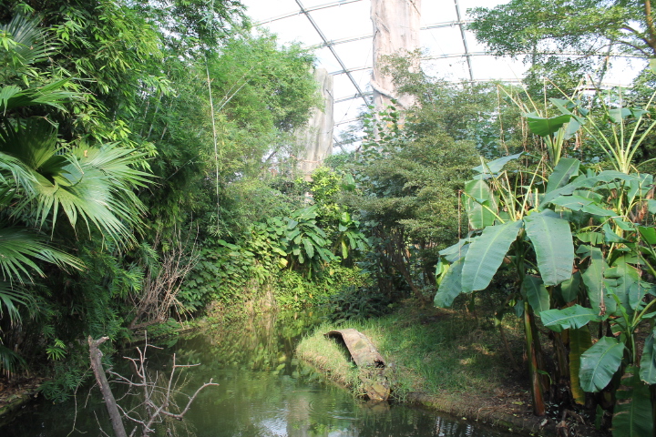 По Германии: зоопарк Лейпцига, часть 2