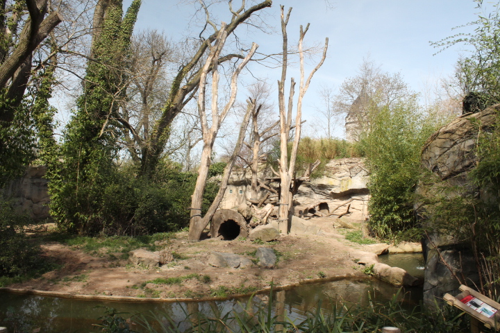 По Германии: зоопарк Лейпцига, часть 1 (фото 10)