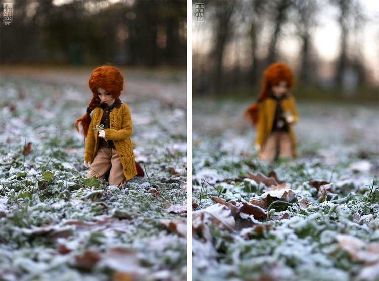 Мирвен в парке в последние дни осени