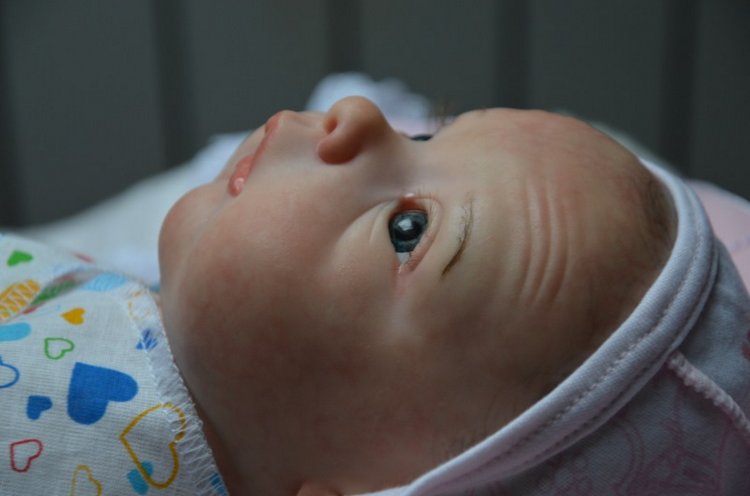 И еще раз Софийка — Куклы Реборн (Reborn): работы мастеров