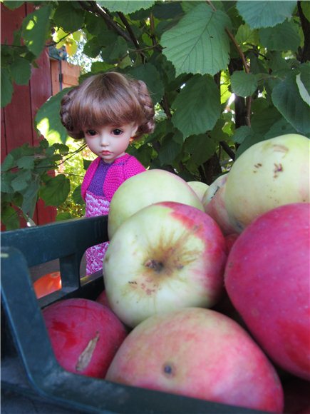 Новое вязаное платье нашего цветочка