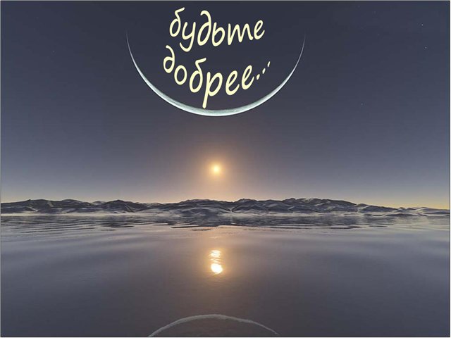 Если ты любишь животных, оставь их дикими... Мия и Кука встали на защиту животных