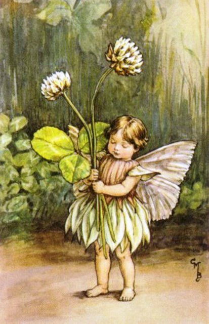 Долгая жизнь цветочных фей от иллюстраций Cicely Mary Barker до кукол Birgitte Frigast