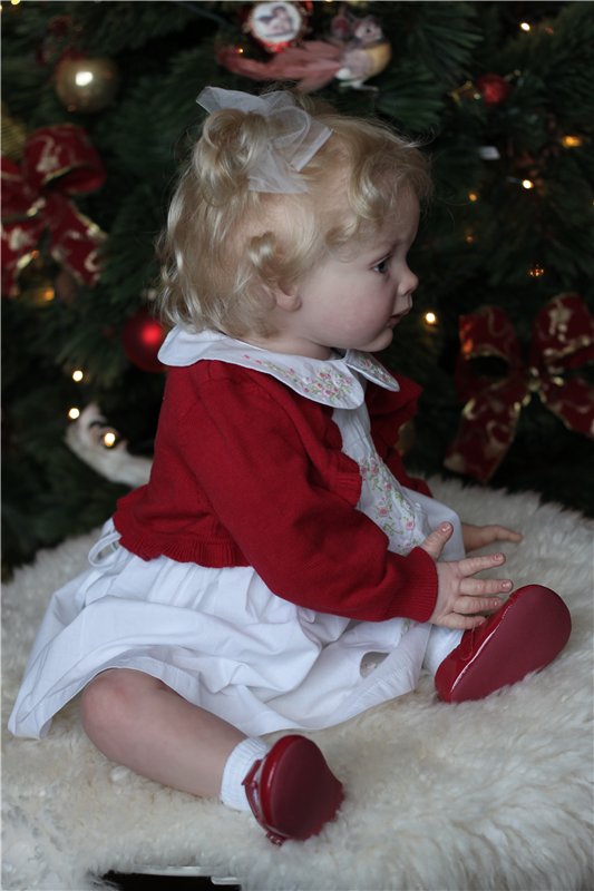 Цветочек мой аленький! Кукла реборн Fridolin, художник А.Арутюнян (фото 3)