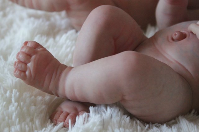 Кукляшечки близняшечки... Куколки реборн Виктории Вишни (фото 3)