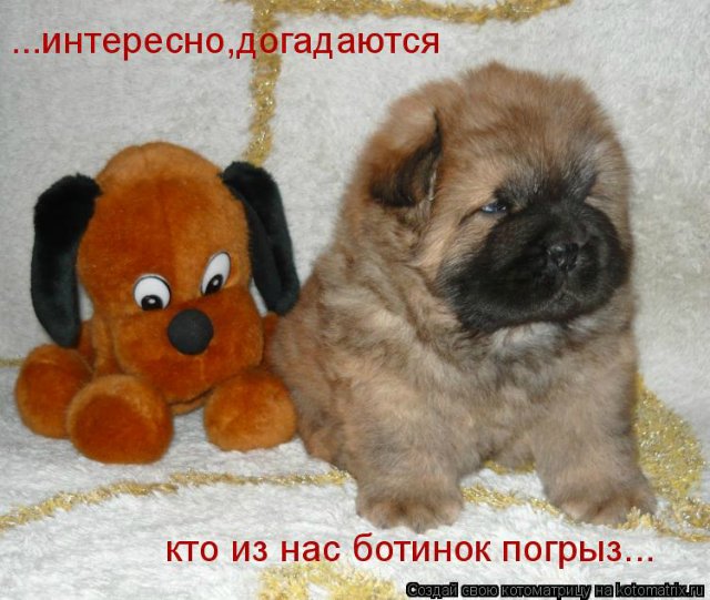 Понедельник - день тяжёлый | Бэйбики Понедельник - день тяжёлый