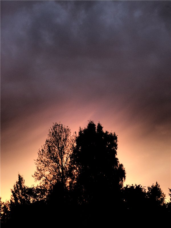 Лесная сказка или Варварка на Нугуше (фото 5)