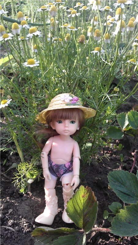 Немного лета в холода — Куклы Dollzone (Доллзон): BJD (БЖД) (фото 8)