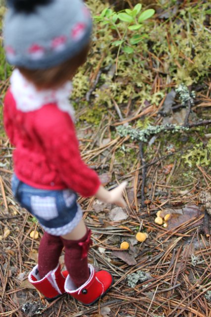 Японские девочки azone pure neemo в русском лесу (фото 6)