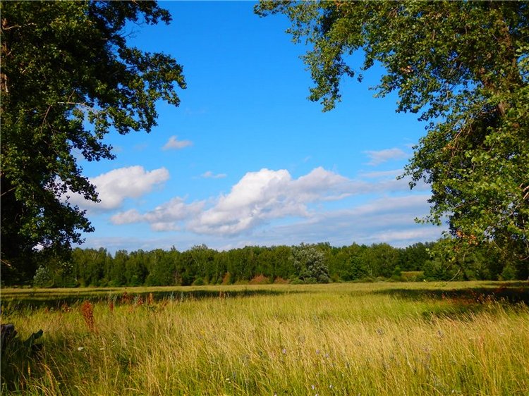 Башкирия , Охлебинино . Место , где отдыхает душа (фото 2)