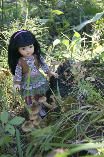 Как Лиу и Клодин за грибами ездили