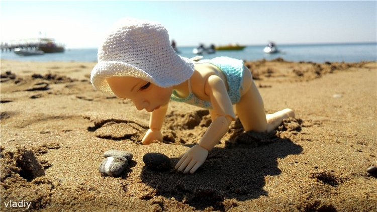 Как Даша первый раз на море побывала (фото 9)