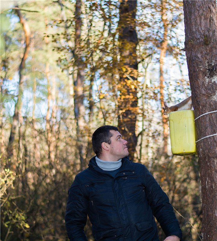 Прогулка в осень... или в гостях у белочек