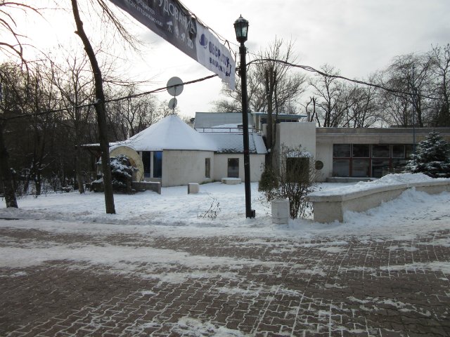 Чем бы заняться юному лорду 30 декабря