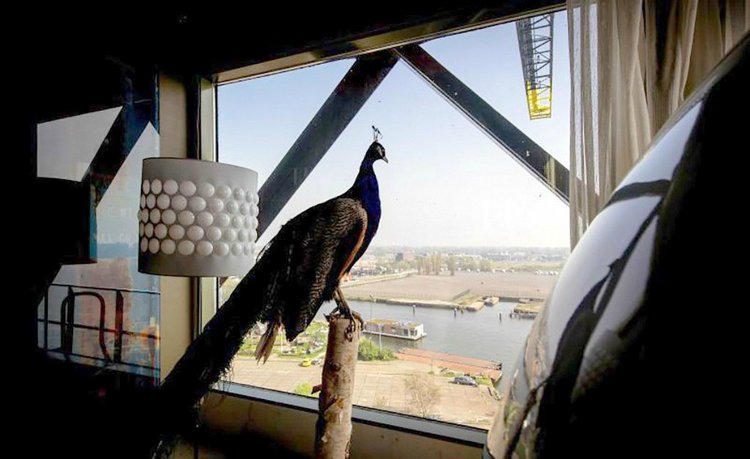 ЗАВИСНУТЬ В ВОЗДУХЕ... Oдин из самых необычных отелей в Мире, Amsterdam, Нидерланды