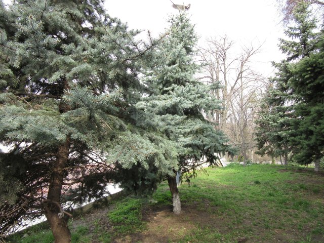 Юные кладоискательницы, или Офелия и Луни развлекаются (фото 5)