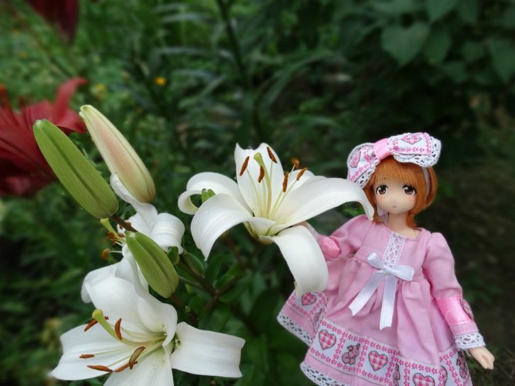 Дюймовочка в сказочном саду (фото 4)