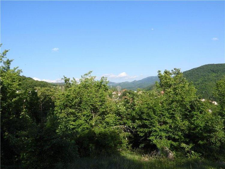 Любителям маленьких кукол