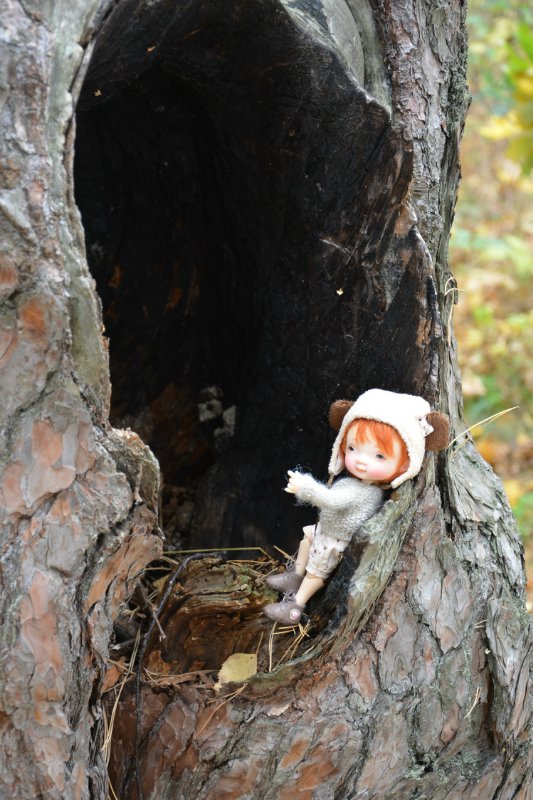 Осенняя прогулка! Irrealdoll (фото 4)