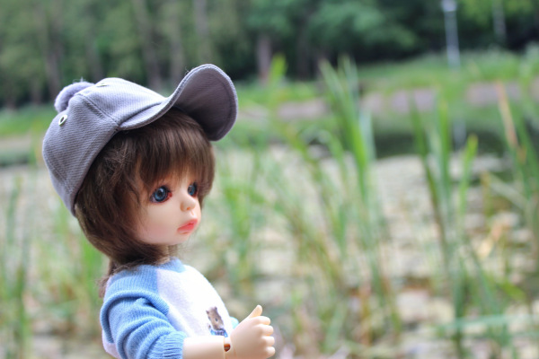 У Московского пруда. Или куда деваются утки