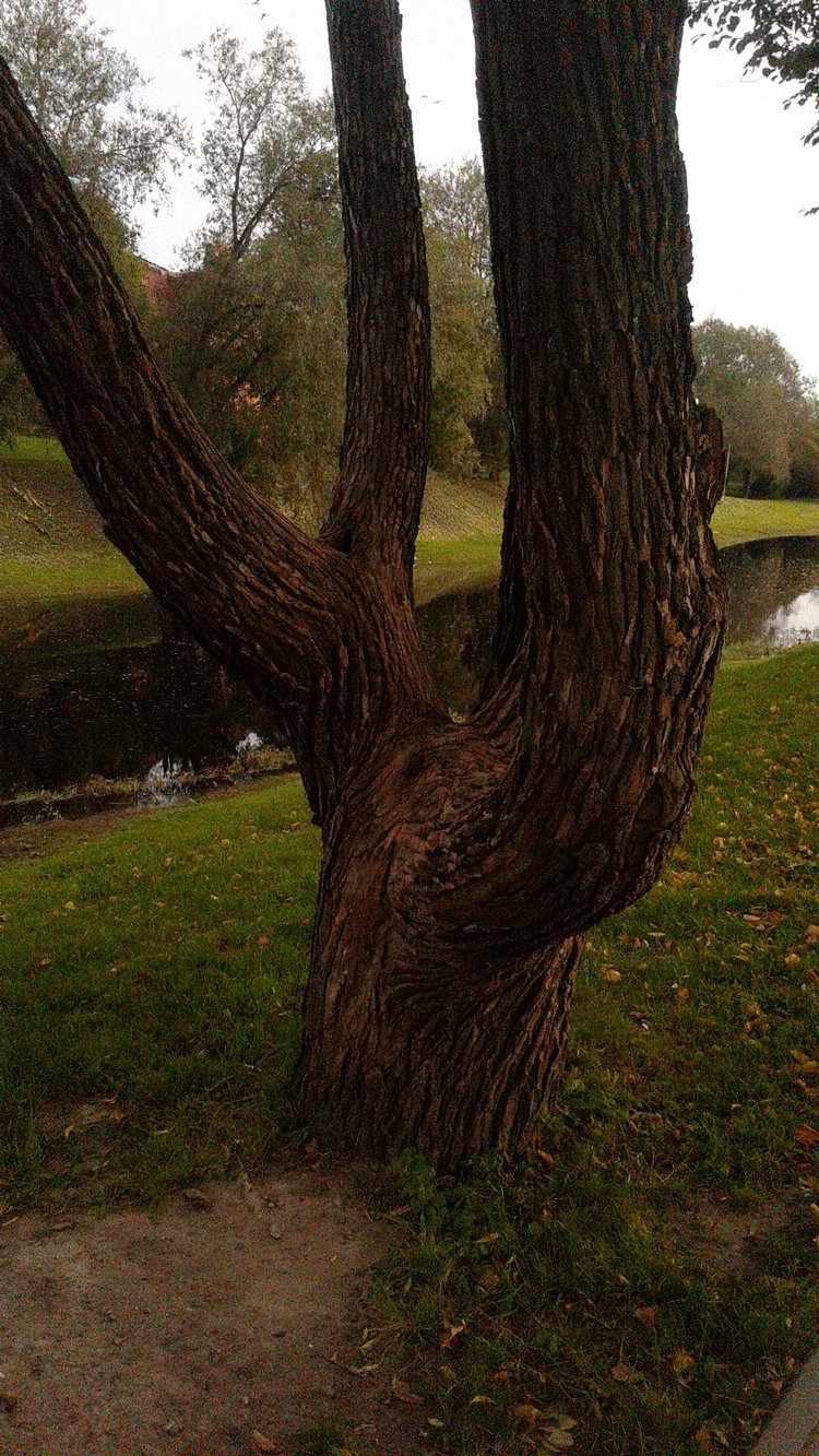 Зимнее солнце. Глава 6. Дом там, где сердце (фото 4)