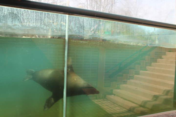 По Германии: зоопарк Лейпцига, часть 1