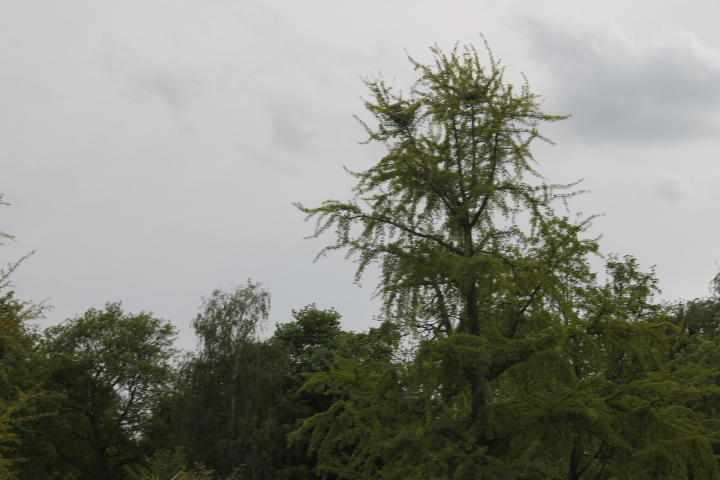 По Германии: зоопарк Лейпцига, часть 1