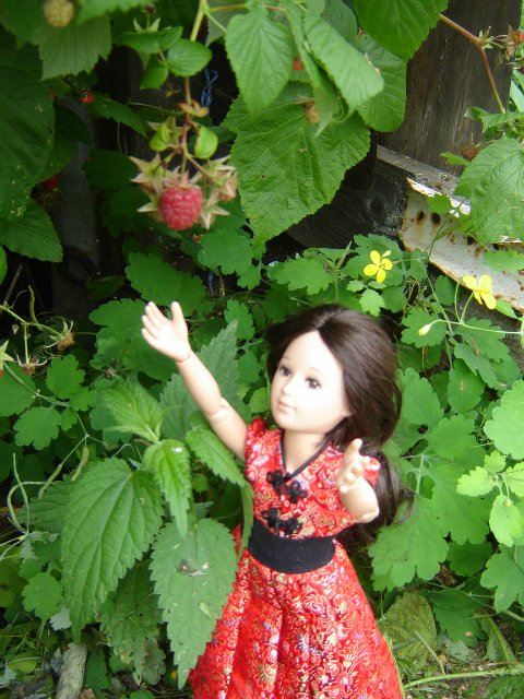 Компромисс: моя первая БЖД: Люси - Senson doll, в гостях на даче