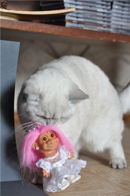 Тролесвадьба или новые друзья из старого чемодана (фото 8)