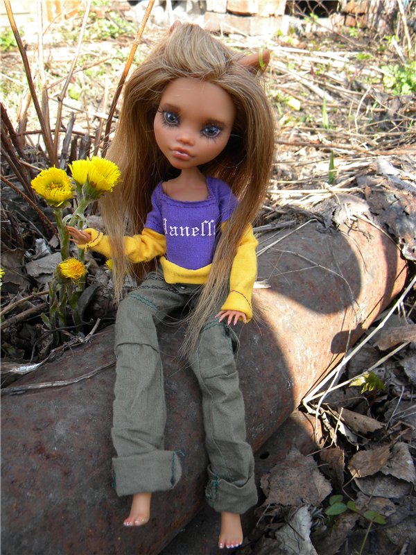 Мой милый Монстр... ООАК Monster High от Mattel