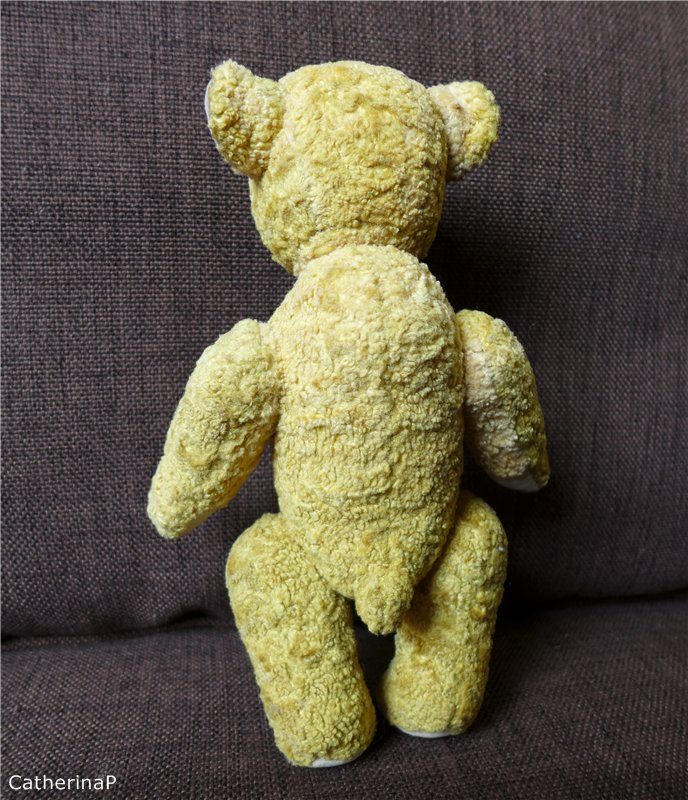 Мой первый мишка-тедди — Авторские мишки Тедди и друзья: фото (фото 4)