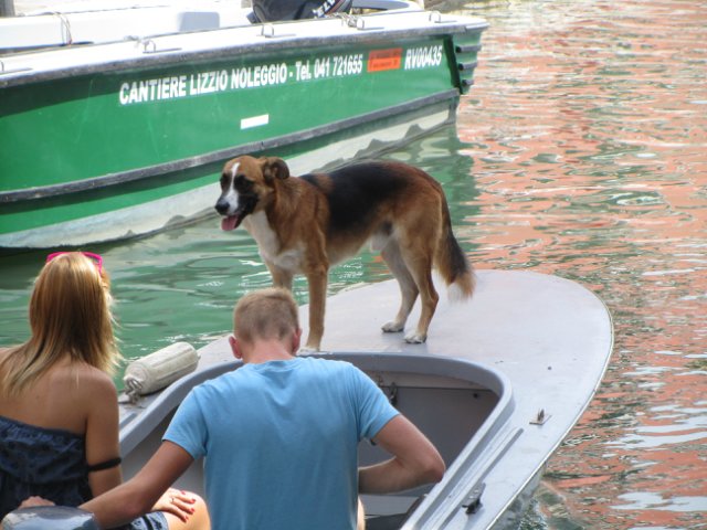 "Моя Италия". Часть 7 (заключительная) - Венеция