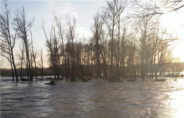 Поездка за подснежниками. Или просто Корппи | Бэйбики Поездка за подснежниками. Или просто Корппи