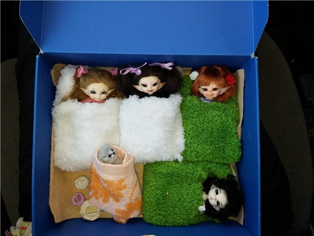 Поездка за подснежниками. Или просто Корппи | Бэйбики Поездка за подснежниками. Или просто Корппи