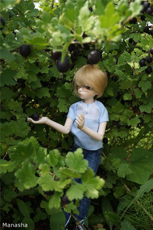 Как Женька провел лето 2014 года... Benjamin от LeekeWorld (фото 4)