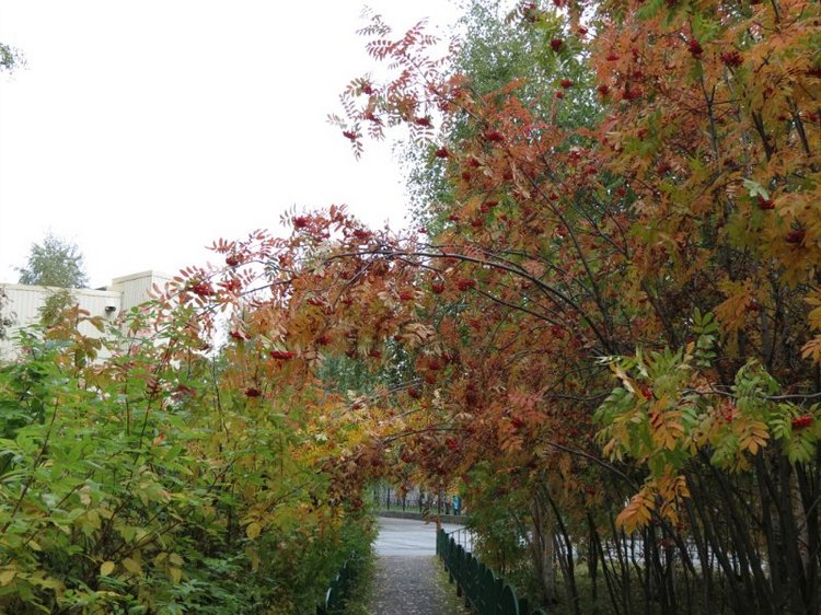 Люблю я пышное природы увяданье