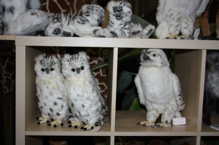 Выставка кукол, мишек тедди, кукольных домиков и миниатюры в Нидерландах 24-25 октября 2015 год. Четвертая часть | Бэйбики Выставка кукол, мишек тедди, кукольных домиков и миниатюры в Нидерландах 24-25 октября 2015 год. Четвертая часть