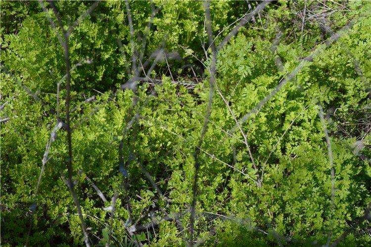 Прогулка по Мамаеву кургану Часть 2