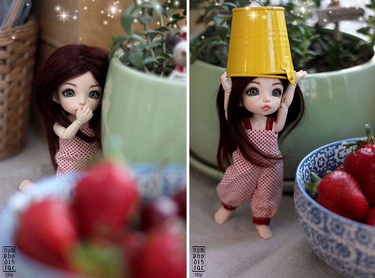 Воришка клубники! Майя, Pukifee Ante