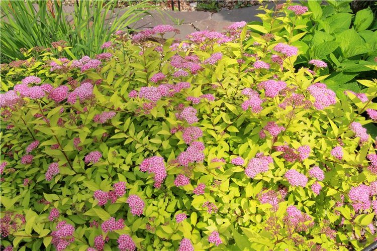 Кашин - город русского сердца. Часть седьмая. Вознесенский кафедральный собор