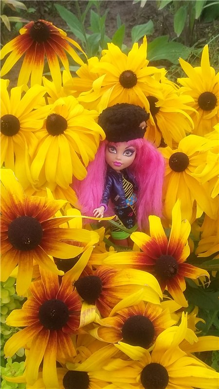 В гостях у бабушки ))) или яркое лето 2016 с девочками от Монстр Хай | Бэйбики В гостях у бабушки ))) или яркое лето 2016 с девочками от Монстр Хай (фото 8)