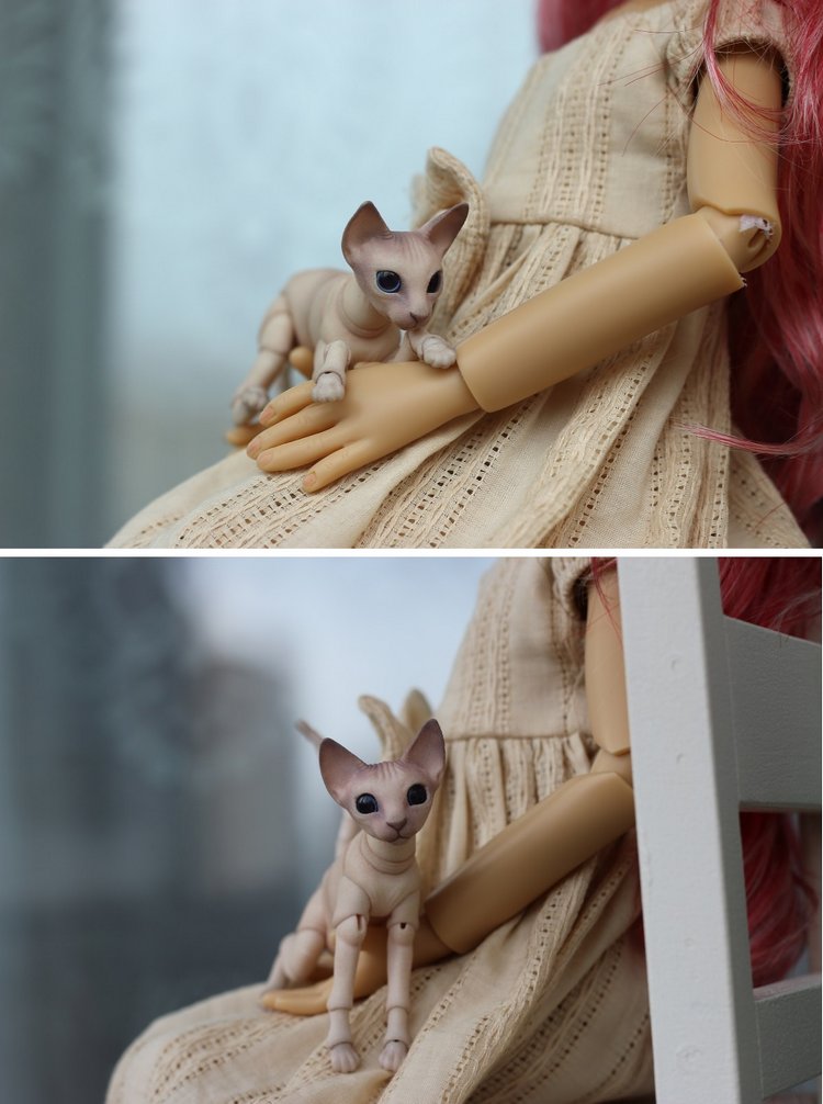 Жизнерадостный Кот и мечтательная Лайла (фото 7)