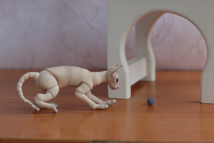 Кот играет с мячиком — Разные куклы BJD (БЖД): редкие бренды